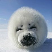 whip my ENORMOUS clitoris