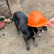 preekid - steam id 76561198860322796