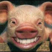 The Legend of Karlsprang