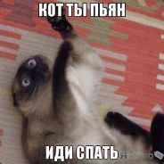 [DY]КОТЭ