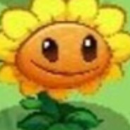 mim