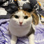 gojo satory's avatar