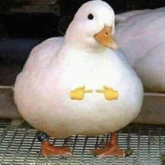 (~ '°')~