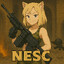 Nesc