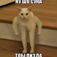 Август Малинов