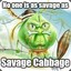 lil CABBAGE