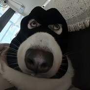 请别质疑那个男人