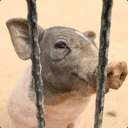 臣妾赵湘璐,小女曰紫嫣