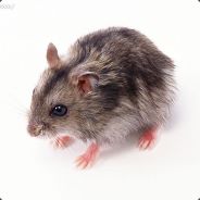 雪崩时，每一片雪花都在勇闯天涯