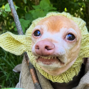 skins.army.Yoda