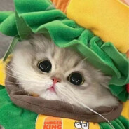 小手一甩，直接开摆！