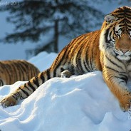 不想玩了只想送人头