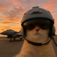 我口袋只剩玫瑰一片