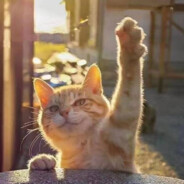 情到深处腿自开