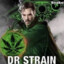 dr strain