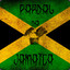 Pardal_da_Jamaica