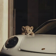 𝓜𝓪𝓵𝓿𝓮𝓻𝓸13