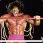 The Ultimate Warrior