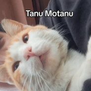 Tanu Motanu