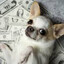 cumdog millionaire