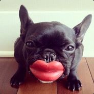 僵尸男孩牛逼.奥力给雷