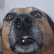 AMADUDA