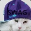 Swag Cat