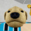 CACHORRAO