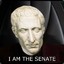 The Senate