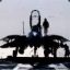 | F-14_Tomcat