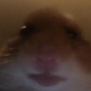 Duck - steam id 76561197964214617