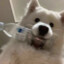 小小霏