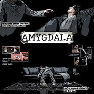 AMYGDALA