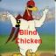 blind_chicken