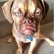 香蕉你个不娜娜