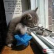 nowy *****  dragonite567