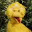 EvilBigBird