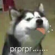 FBI!!  open the door