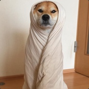 echo_dreamer (slickriick16) Farcaster social identity (Fname handle) PFP