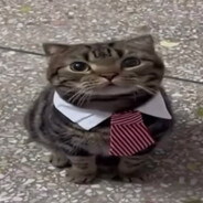 simon