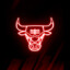 Chicago bulls