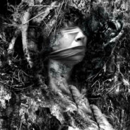 网络秀雕被录屏