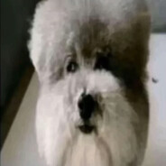 nikayoo - steam id 76561199689006633