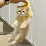 沐砚今天也要努力长高