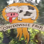 Cowdownie Community Fair