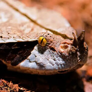 ▼△◁▼△◁△▽▷▼