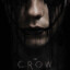 Crow