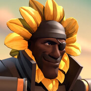 Steam Avatar