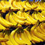 Bananas