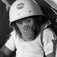 Macaco Astronauta